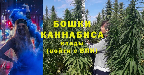 крисы Верхний Тагил