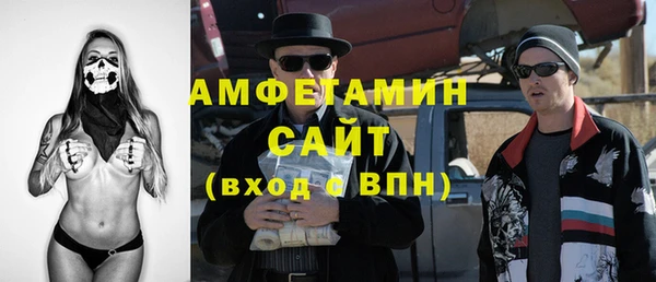 крисы Верхний Тагил